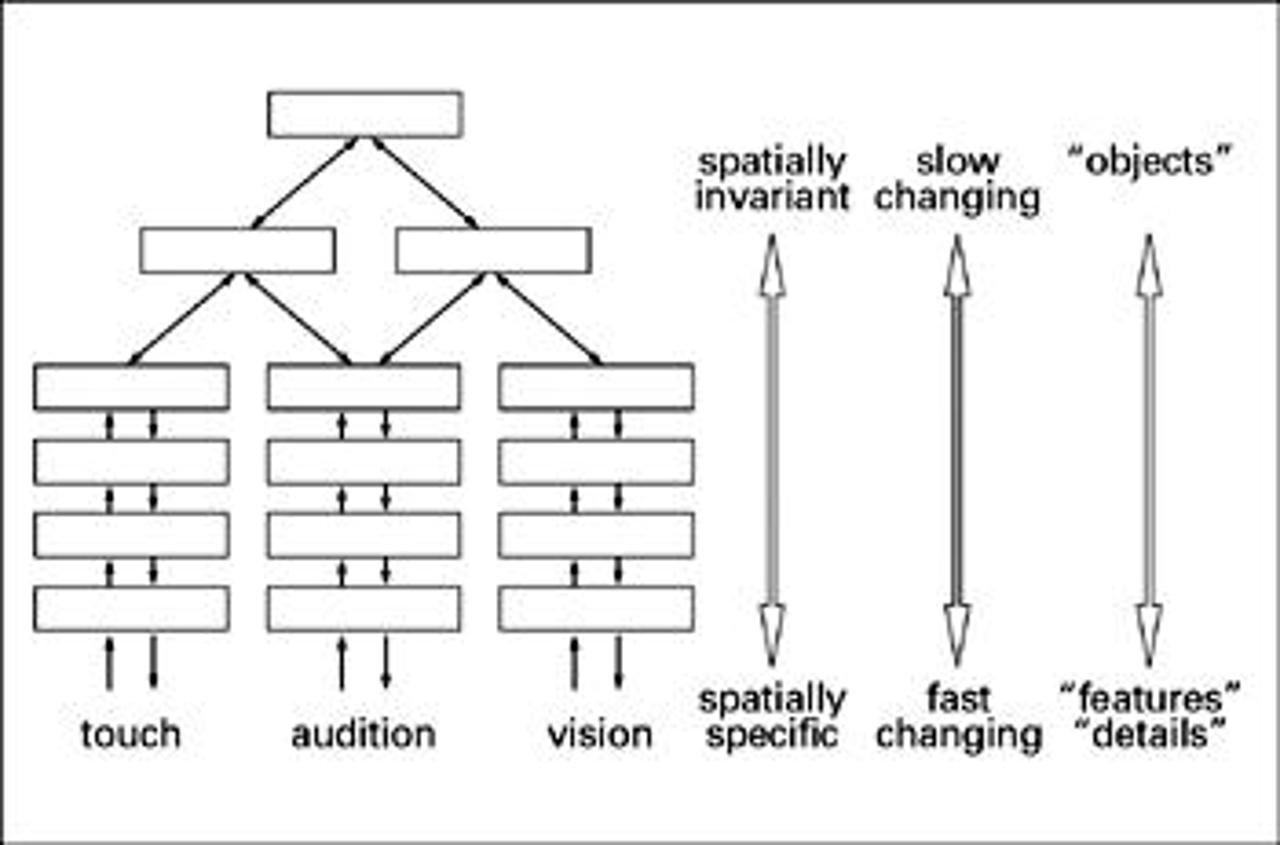 Inputs become more abstract as it travels up the hierarchy