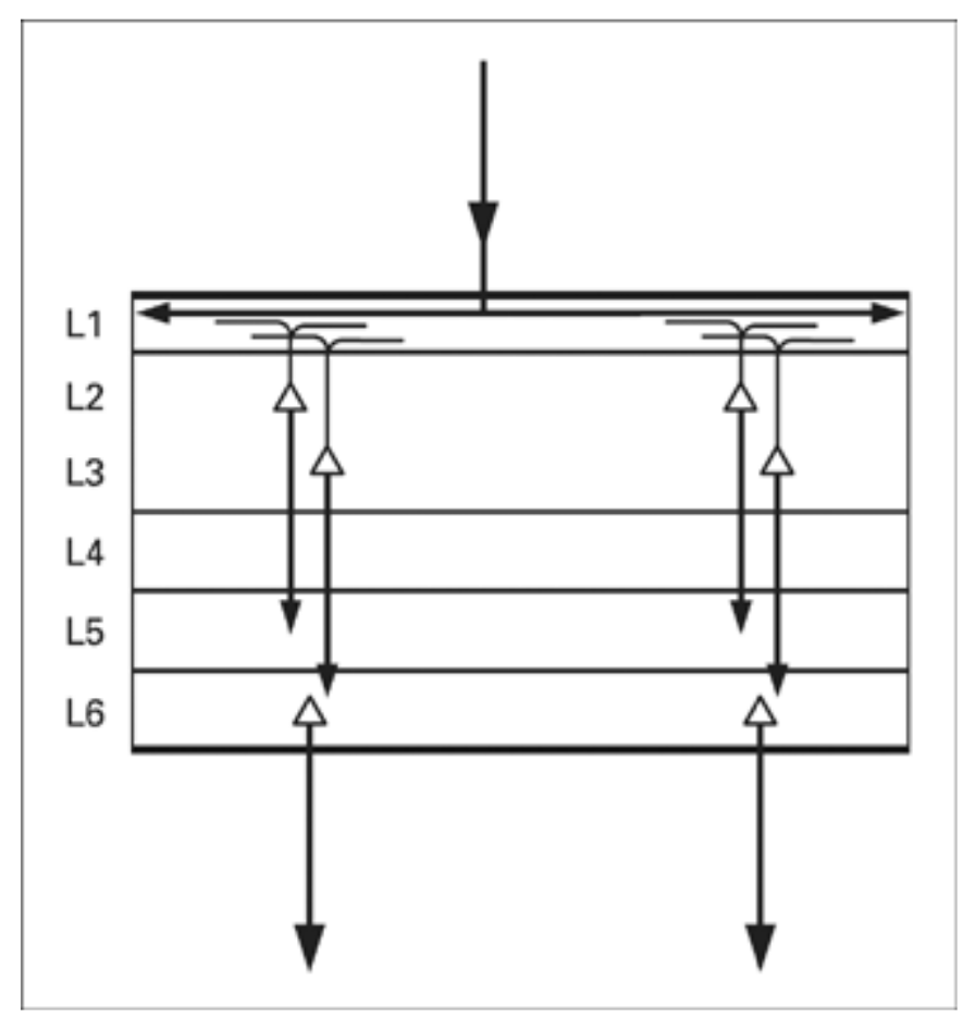 Invariant representations are handled by various cortical columns